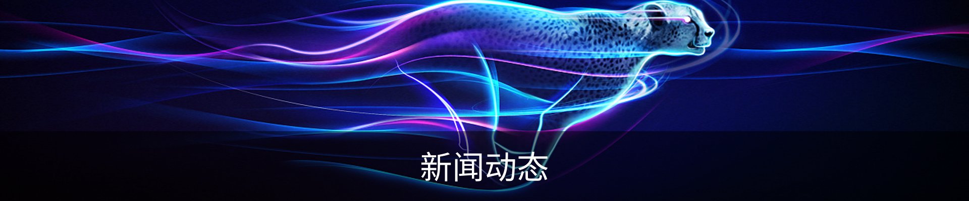 新闻动态